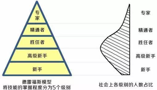 德雷福斯模型.jpg 德雷福斯模型.jpg